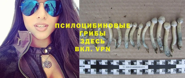 дживик Балахна
